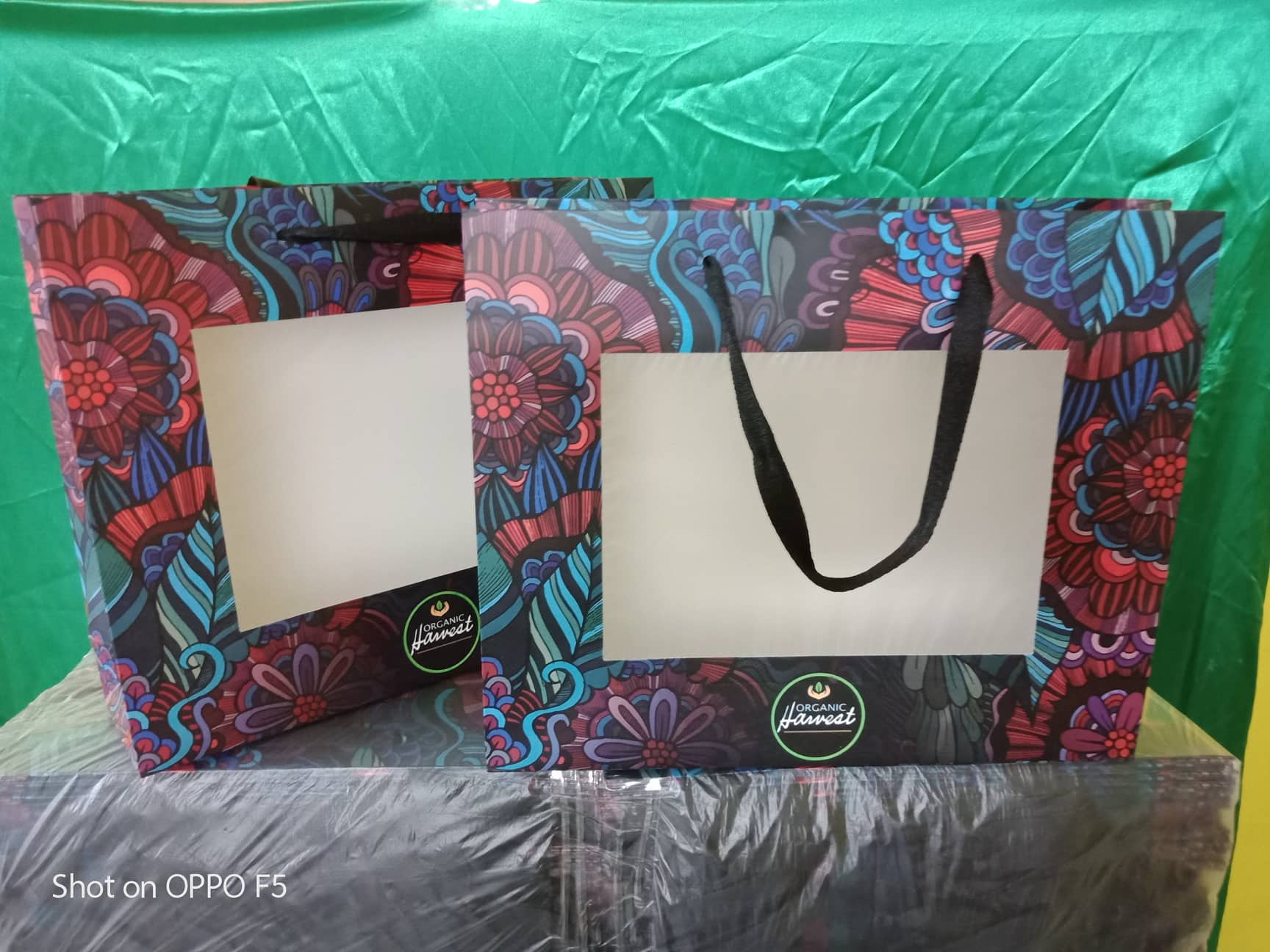 72629988_3020044838012210_3360704247174791168_n